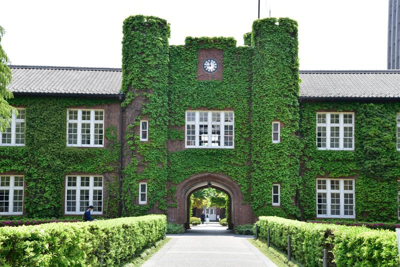 神農貴大の出身大学と言われる立教大学