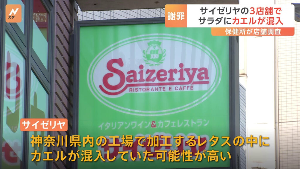 サラダにカエルが混入し、騒ぎになったサイゼリヤ