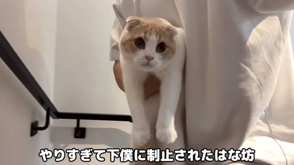 下僕に抱きかかえられるはなまる
